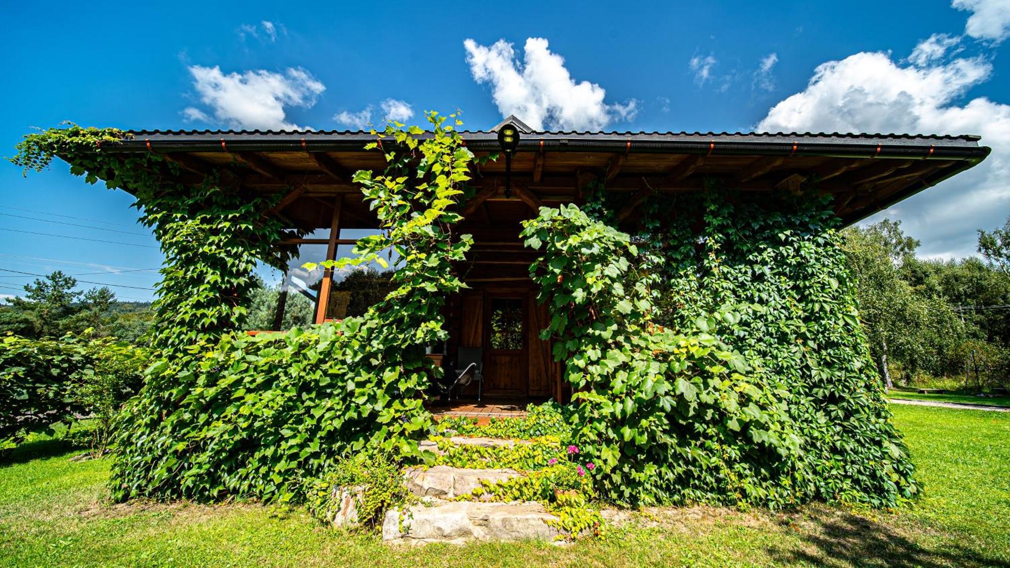 Wapienne Domek Sekowa Exterior photo